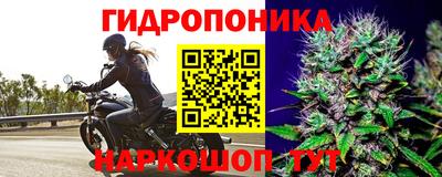 СК Абакан