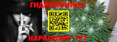 СК Абакан