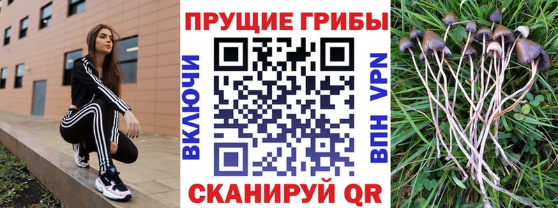 Псилоцибиновые грибы MAGIC MUSHROOMS  Балабаново 